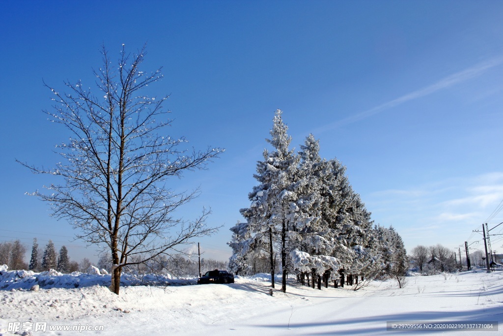 冬季自然景观