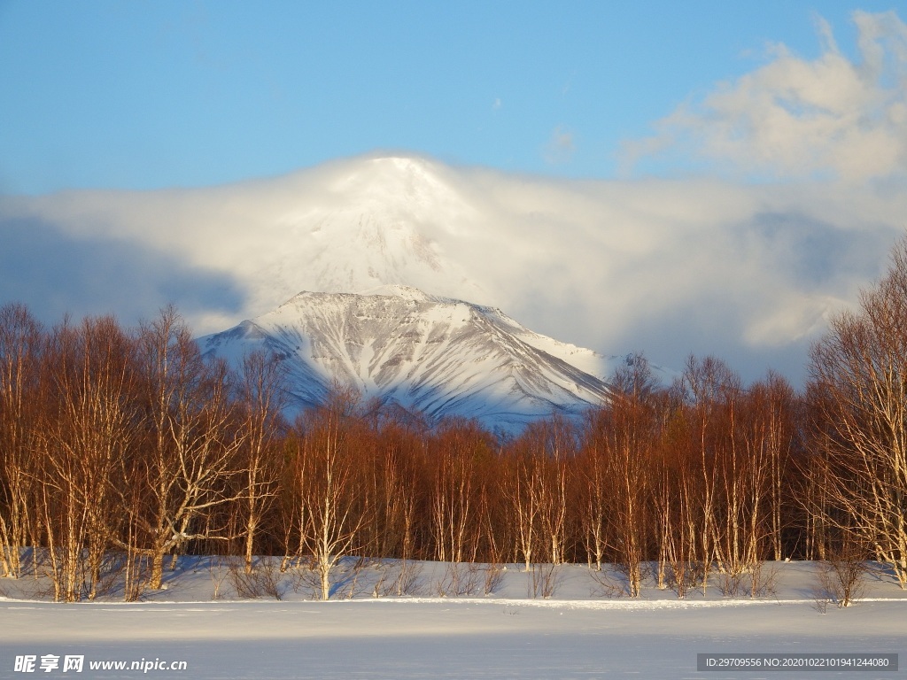冬季雪景