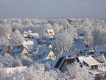 冬季雪景