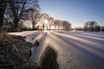 冬季雪景