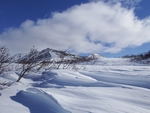 冬季雪景