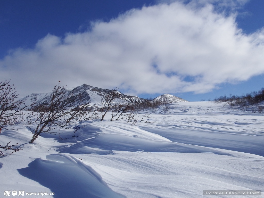 冬季雪景