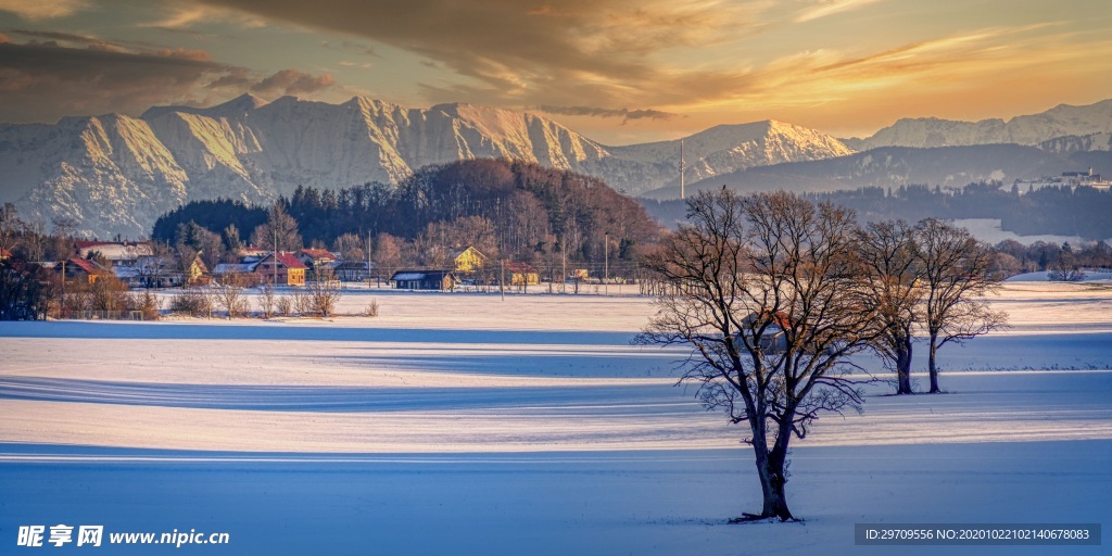 冬季雪景