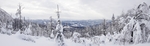 冬季雪景
