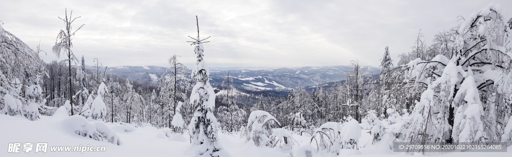 冬季雪景