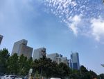 城市