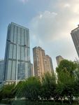 城市