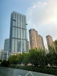 城市