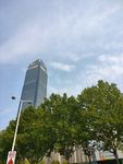 城市