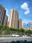 城市