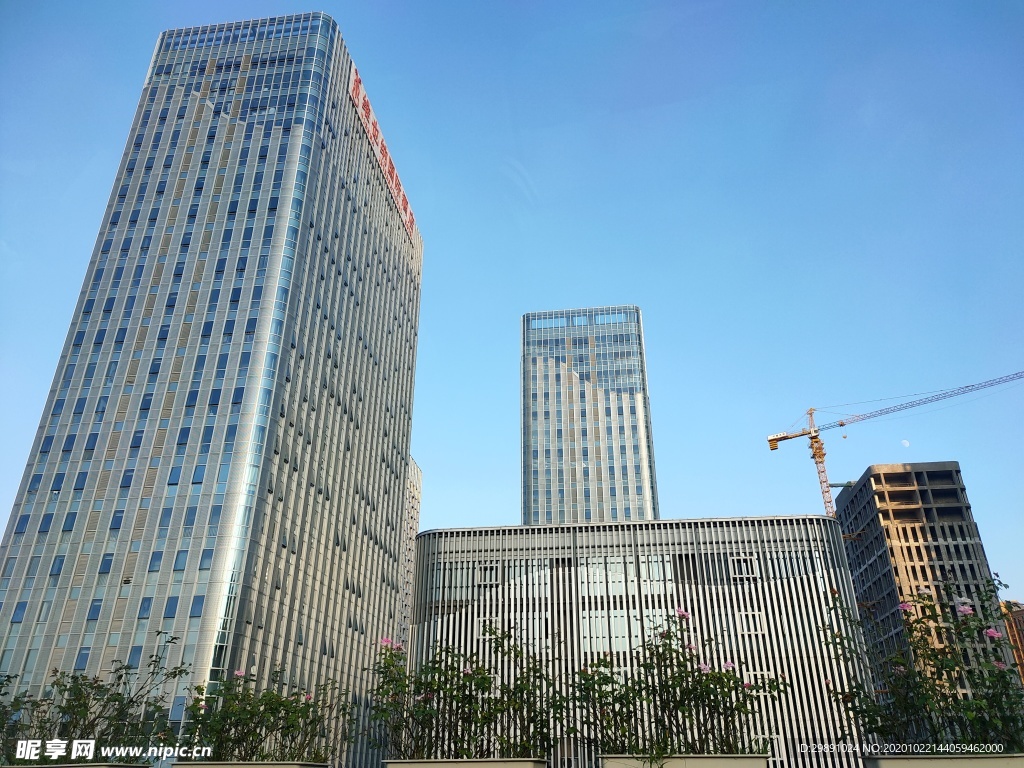 城市