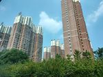 城市