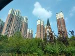 城市