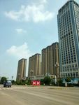 城市