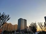 城市