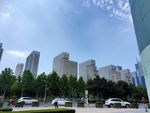 城市