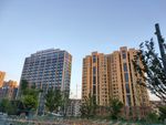 城市