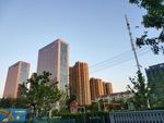 城市