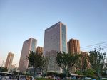 城市