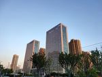 城市