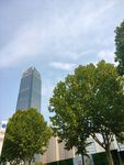 城市