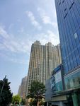 城市