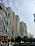 城市