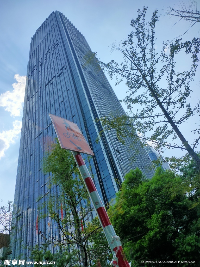 城市