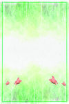 花鸟蝴蝶背景