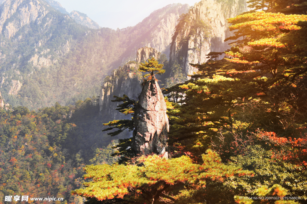 山峰森林树木背景海报素材