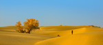秋季山丘沙漠背景海报素材