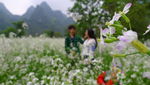 花花