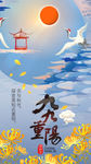 晴空仙鹤太阳九九重阳节菊花H5