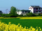 田园风景