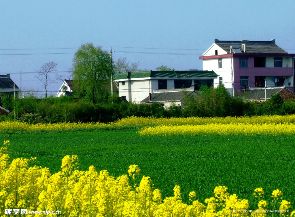 田园风景