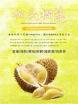 榴莲海报