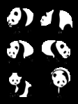熊猫