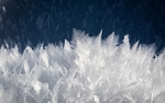 霜冻 雪花