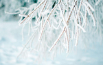 冬季雪