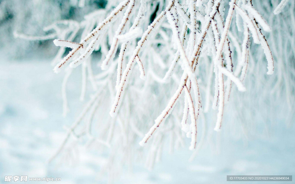 冬季雪