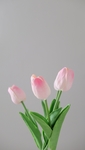 花卉
