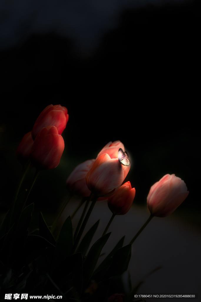 花卉