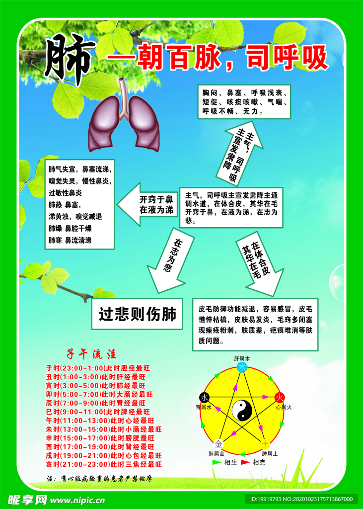 肺