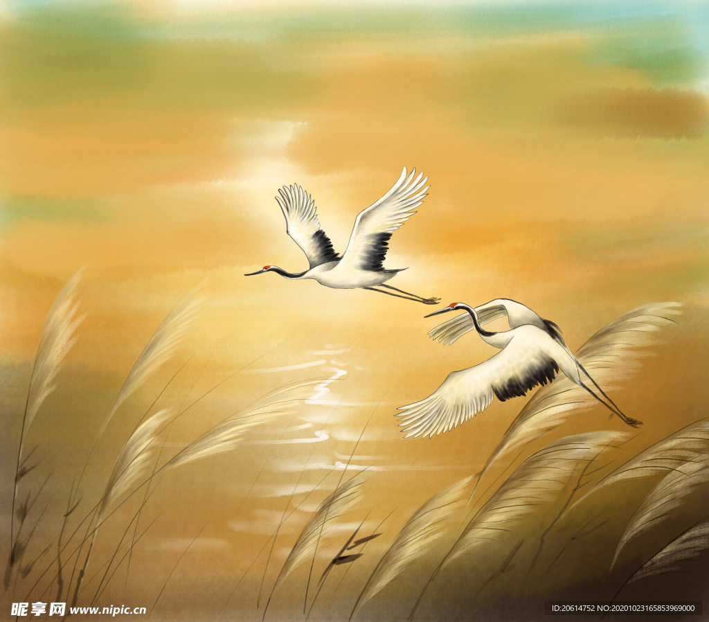 飞翔的白鹤漫画海报