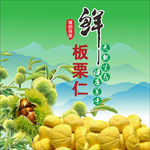 板栗仁