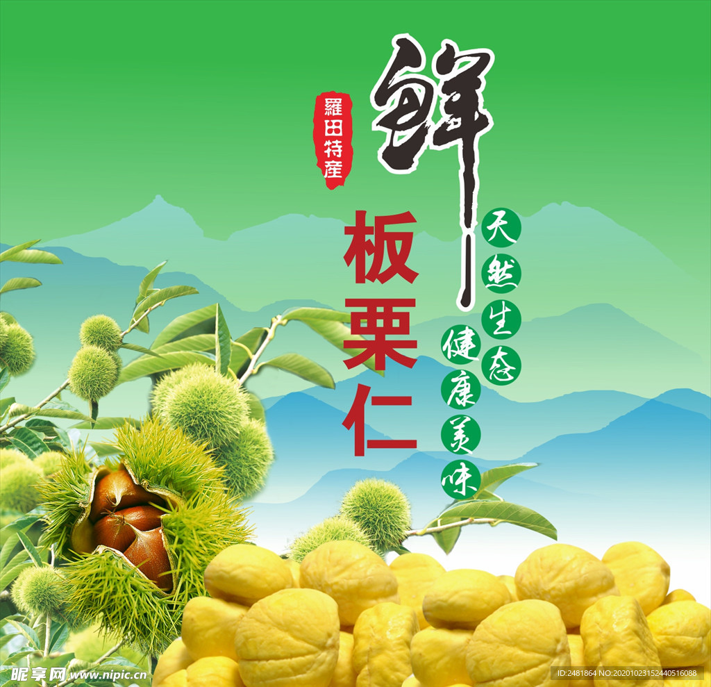 板栗仁
