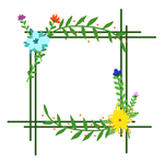 手绘绿色植物花朵枝藤边框插画