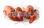 小龙虾