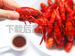 小龙虾