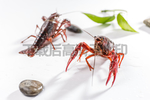小龙虾